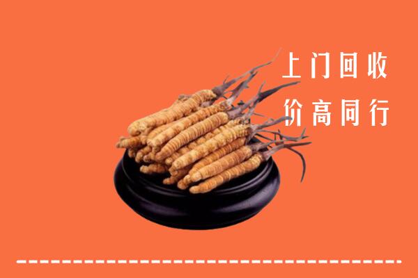 高价求购：衡阳市常宁市回收散虫草