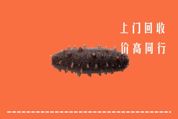 高价求购：衡阳市常宁市回收海参