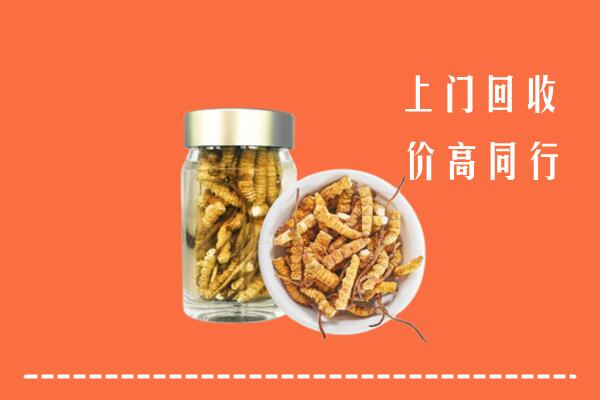 衡阳市常宁市回收冬虫夏草