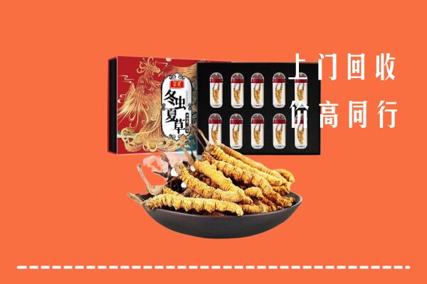 衡阳市常宁市回收虫草